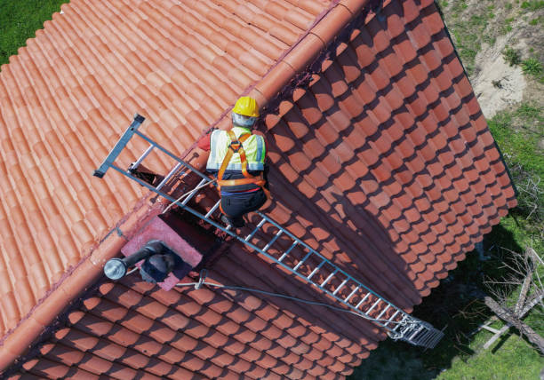 Best Roof Moss and Algae Removal  in Macon, IL