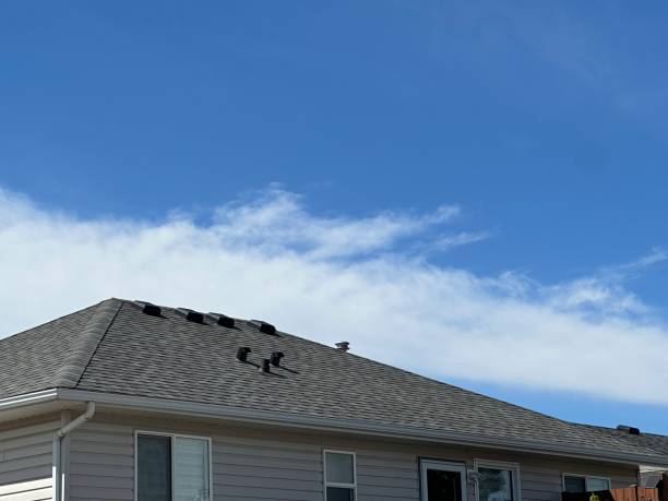 Best Metal Roofing Installation  in Macon, IL